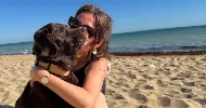 avatar petsitter
