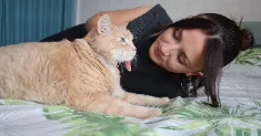avatar petsitter
