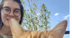 avatar petsitter
