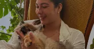 avatar petsitter