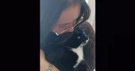 avatar petsitter