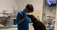 avatar petsitter