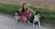 avatar petsitter