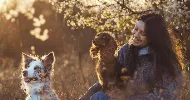 avatar petsitter