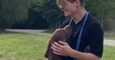 avatar petsitter
