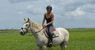 avatar petsitter