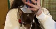 avatar petsitter