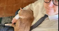 avatar petsitter