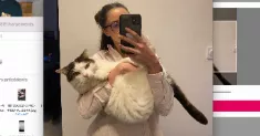 avatar petsitter
