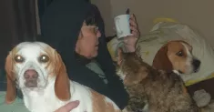 avatar petsitter