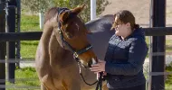 avatar petsitter