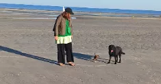 avatar petsitter