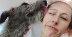 avatar petsitter