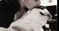 avatar petsitter