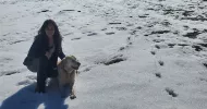 avatar petsitter