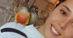 avatar petsitter
