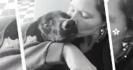 avatar petsitter