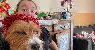 avatar petsitter