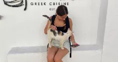 avatar petsitter