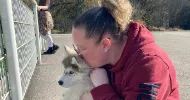 avatar petsitter