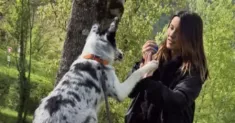 avatar petsitter