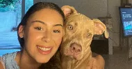 avatar petsitter
