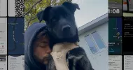 avatar petsitter