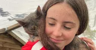 avatar petsitter