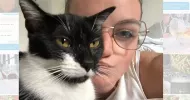 avatar petsitter