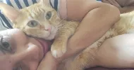 avatar petsitter