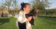 avatar petsitter