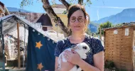 avatar petsitter