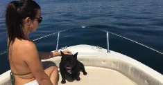 avatar petsitter