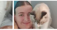 avatar petsitter
