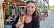 avatar petsitter
