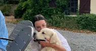 avatar petsitter