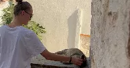 avatar petsitter