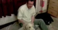 avatar petsitter