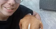 avatar petsitter