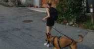 avatar petsitter