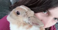 avatar petsitter