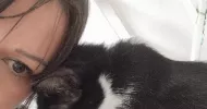 avatar petsitter