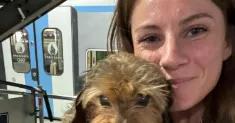 avatar petsitter