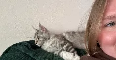 avatar petsitter