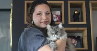 avatar petsitter