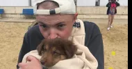 avatar petsitter