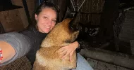 avatar petsitter