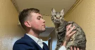 avatar petsitter