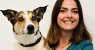 avatar petsitter