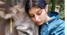 avatar petsitter
